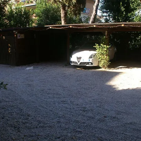 Wilson 2* Rome